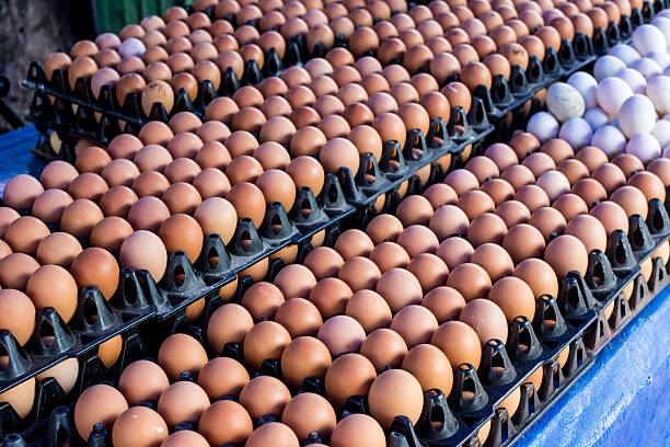 Sales of Eggs